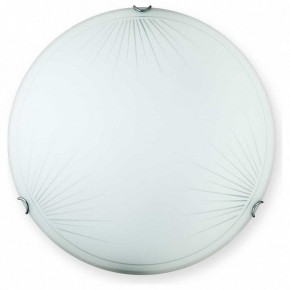 Накладной светильник TopLight Wifa TL9142Y-00WH в Менделеевске - mendeleevsk.ok-mebel.com | фото