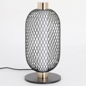 Настольная лампа декоративная Lussole LSP-094 LSP-0944 в Менделеевске - mendeleevsk.ok-mebel.com | фото