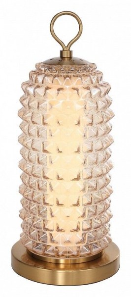Настольная лампа декоративная ST-Luce SAGUARO SL6144.304.01 в Менделеевске - mendeleevsk.ok-mebel.com | фото 2