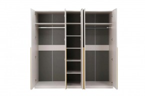 НИКОЛЬ 25 Шкаф 5-ти створчатый в Менделеевске - mendeleevsk.ok-mebel.com | фото 3