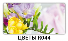 Обеденный раздвижной стол Бриз с фотопечатью Цветы R044 в Менделеевске - mendeleevsk.ok-mebel.com | фото 11