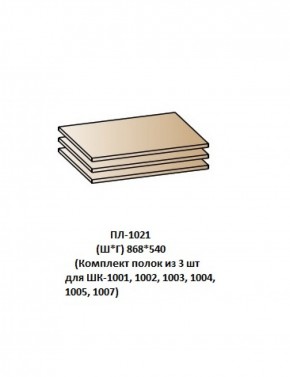 ПЛ-1021 (Комплект полок из 3 шт для ШК-1001, 1002, 1003, 1004, 1005, 1007) в Менделеевске - mendeleevsk.ok-mebel.com | фото