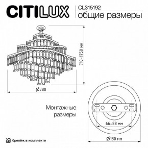 Подвесная люстра Citilux Naiad CL315192 в Менделеевске - mendeleevsk.ok-mebel.com | фото 6
