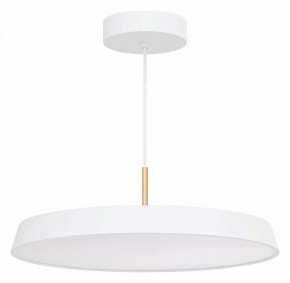 Подвесной светильник Arlight ELEGANT 033925(1) в Менделеевске - mendeleevsk.ok-mebel.com | фото 2