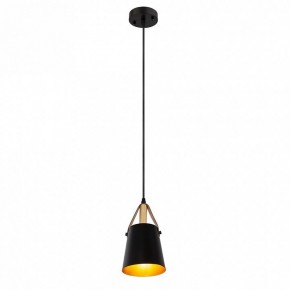 Подвесной светильник Arte Lamp Thomas A7032SP-1BK в Менделеевске - mendeleevsk.ok-mebel.com | фото 3