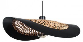 Подвесной светильник Arte Lamp Woodstock A7059SP-1BK в Менделеевске - mendeleevsk.ok-mebel.com | фото