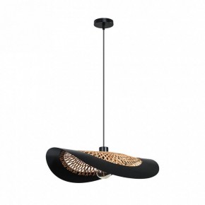 Подвесной светильник Arte Lamp Woodstock A7059SP-1BK в Менделеевске - mendeleevsk.ok-mebel.com | фото 2