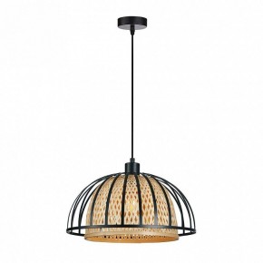 Подвесной светильник Arte Lamp Woodstock A7071SP-1BK в Менделеевске - mendeleevsk.ok-mebel.com | фото
