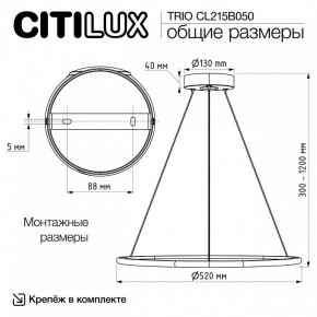 Подвесной светильник Citilux Trio CL215B050 в Менделеевске - mendeleevsk.ok-mebel.com | фото 9