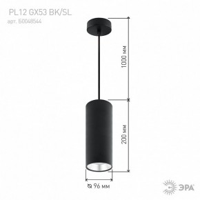 Подвесной светильник Эра  PL12 GX53 BK/SL в Менделеевске - mendeleevsk.ok-mebel.com | фото 8