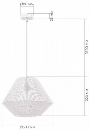Подвесной светильник EVOLUCE ETTAN SLE6025-503-01 в Менделеевске - mendeleevsk.ok-mebel.com | фото 6
