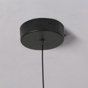 Подвесной светильник Favourite Wilet 4656-1P в Менделеевске - mendeleevsk.ok-mebel.com | фото 10