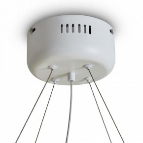 Подвесной светильник Freya Rain FR5546PL-L60W в Менделеевске - mendeleevsk.ok-mebel.com | фото 9
