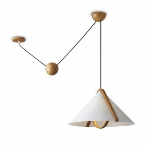 Подвесной светильник Freya Umbra FR5554CL-01T в Менделеевске - mendeleevsk.ok-mebel.com | фото 2