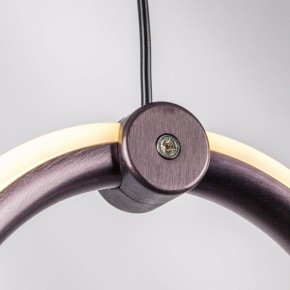 Подвесной светильник Lightstar Caramello 796229 в Менделеевске - mendeleevsk.ok-mebel.com | фото 10