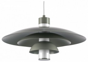 Подвесной светильник Lightstar Erbareo 799019 в Менделеевске - mendeleevsk.ok-mebel.com | фото