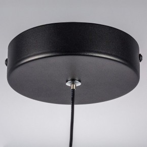 Подвесной светильник Lightstar Saturno 749017 в Менделеевске - mendeleevsk.ok-mebel.com | фото 12