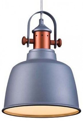 Подвесной светильник Lucia Tucci Industrial INDUSTRIAL 1820.1 SAND SILVER в Менделеевске - mendeleevsk.ok-mebel.com | фото
