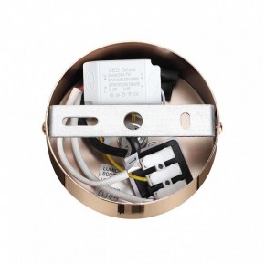 Подвесной светильник Lumion Cristie 8009/6L в Менделеевске - mendeleevsk.ok-mebel.com | фото 6