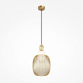 Подвесной светильник Maytoni Levitation MOD376PL-01G1 в Менделеевске - mendeleevsk.ok-mebel.com | фото 2