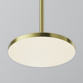 Подвесной светильник Maytoni Plato P076PL-L12W4K-BS в Менделеевске - mendeleevsk.ok-mebel.com | фото 7