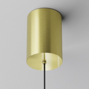 Подвесной светильник Maytoni Plato P076PL-L12W4K-BS в Менделеевске - mendeleevsk.ok-mebel.com | фото 9