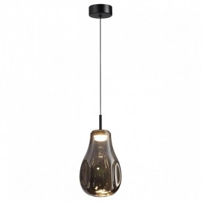 Подвесной светильник Odeon Light Nave 5098/4LC в Менделеевске - mendeleevsk.ok-mebel.com | фото 2