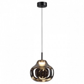 Подвесной светильник Odeon Light Vaso 5097/4LC в Менделеевске - mendeleevsk.ok-mebel.com | фото 2