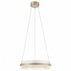 Подвесной светильник ST-Luce Cherio SL383.203.01 в Менделеевске - mendeleevsk.ok-mebel.com | фото 3