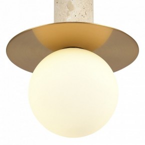 Подвесной светильник ST-Luce Earthy SL1194.303.01 в Менделеевске - mendeleevsk.ok-mebel.com | фото 5