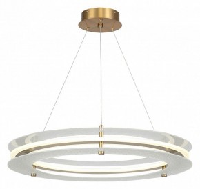 Подвесной светильник ST-Luce FAGY SL6245.203.01 в Менделеевске - mendeleevsk.ok-mebel.com | фото 2