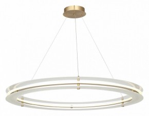 Подвесной светильник ST-Luce FAGY SL6245.213.01 в Менделеевске - mendeleevsk.ok-mebel.com | фото 4