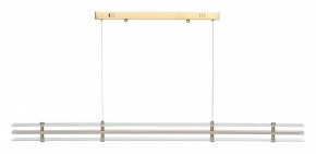 Подвесной светильник ST-Luce FAGY SL6245.223.01 в Менделеевске - mendeleevsk.ok-mebel.com | фото 3