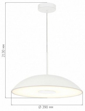 Подвесной светильник ST-Luce Lido SL6128.503.01 в Менделеевске - mendeleevsk.ok-mebel.com | фото 4