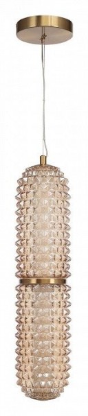 Подвесной светильник ST-Luce SAGUARO SL6144.303.01 в Менделеевске - mendeleevsk.ok-mebel.com | фото 3