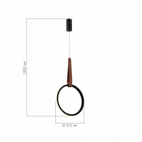 Подвесной светильник ST-Luce Shape SL6131.403.12 в Менделеевске - mendeleevsk.ok-mebel.com | фото 4