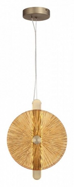 Подвесной светильник ST-Luce WASI SL6141.313.01 в Менделеевске - mendeleevsk.ok-mebel.com | фото 2