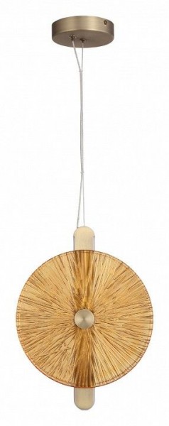 Подвесной светильник ST-Luce WASI SL6141.313.01 в Менделеевске - mendeleevsk.ok-mebel.com | фото 3