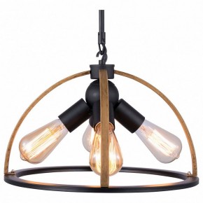 Подвесной светильник TopLight Jasmin TL1179H-04BK в Менделеевске - mendeleevsk.ok-mebel.com | фото