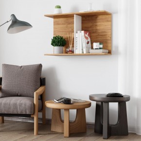 Полка Ион-3 (крафт/белый) в Менделеевске - mendeleevsk.ok-mebel.com | фото 3