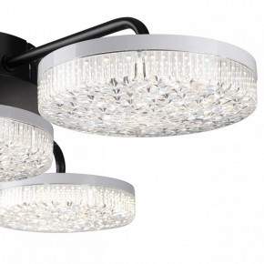 Потолочная люстра Lumion Didana 8236/4CL в Менделеевске - mendeleevsk.ok-mebel.com | фото 7