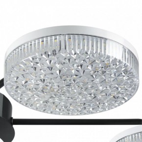 Потолочная люстра Lumion Didana 8236/7CL в Менделеевске - mendeleevsk.ok-mebel.com | фото 9