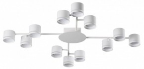 Потолочная люстра Lumion Gareta 8235/12C в Менделеевске - mendeleevsk.ok-mebel.com | фото