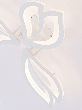 Потолочная люстра Natali Kovaltseva FORTUNA LED LAMPS 81107/2C в Менделеевске - mendeleevsk.ok-mebel.com | фото 11