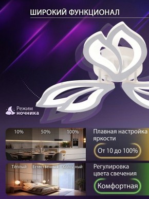 Потолочная люстра Natali Kovaltseva FORTUNA LED LAMPS 81107/2C в Менделеевске - mendeleevsk.ok-mebel.com | фото 5