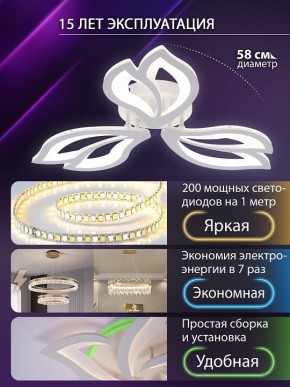 Потолочная люстра Natali Kovaltseva FORTUNA LED LAMPS 81107/2C в Менделеевске - mendeleevsk.ok-mebel.com | фото 6