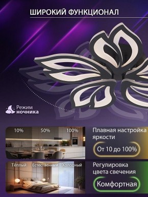 Потолочная люстра Natali Kovaltseva FORTUNA LED LAMPS 81107/5C в Менделеевске - mendeleevsk.ok-mebel.com | фото 6