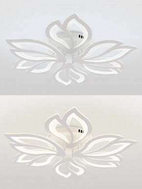 Потолочная люстра Natali Kovaltseva FORTUNA LED LAMPS 81107/6C в Менделеевске - mendeleevsk.ok-mebel.com | фото 4