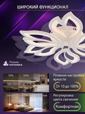 Потолочная люстра Natali Kovaltseva FORTUNA LED LAMPS 81107/6C в Менделеевске - mendeleevsk.ok-mebel.com | фото 6