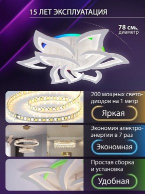 Потолочная люстра Natali Kovaltseva OLIMP LED LAMPS 81435 в Менделеевске - mendeleevsk.ok-mebel.com | фото 5